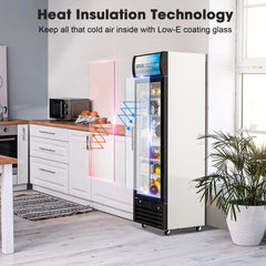 COTLIN 21" 9 Cu.Ft. LED Dual-pane Glass Door ‎Coated Steel Upright Display Beverage Cooler WX-P255