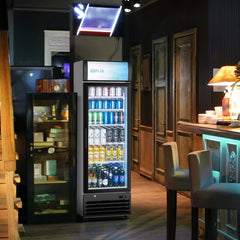 COTLIN 21" 9 Cu.Ft. LED Dual-pane Glass Door ‎Coated Steel Upright Display Beverage Cooler WX-P255